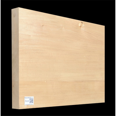 Lipa Svetlá LP 3 - 555 x 395 x 46 mm
